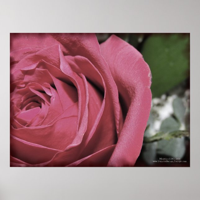 Poster Sentimentos Delicados (Frente)