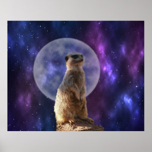 Poster Sentinela Cósmica: Meerkat embaixo da lua cheia