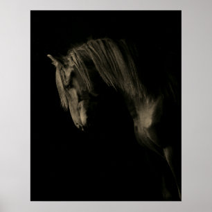 Poster Sepia Cavalo Negro