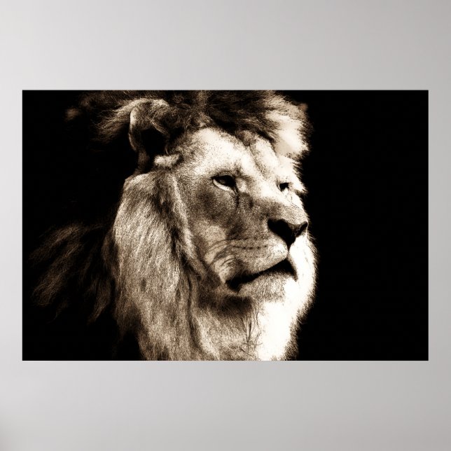 Poster Sepia Lion (Frente)