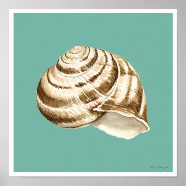 Poster Sepia Striped Shell em Teal (Frente)