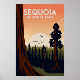 Poster Sequoia