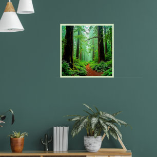 Poster Sequoia Floresta Mistura Design