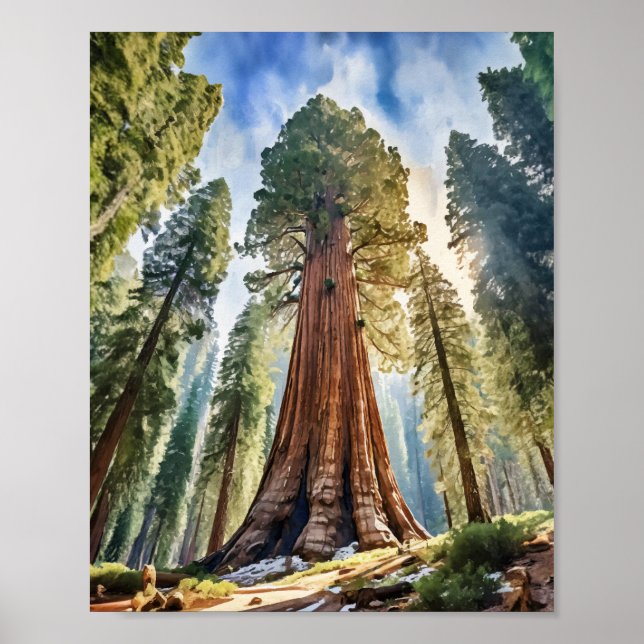 Poster Sequoia National Park California Watercolor (Frente)