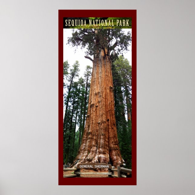 Poster SEQUOIA NAT'L PARK-California-General Sherman- (Frente)