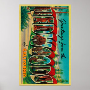 Poster Sequóias vermelhas, Califórnia - grandes cenas d