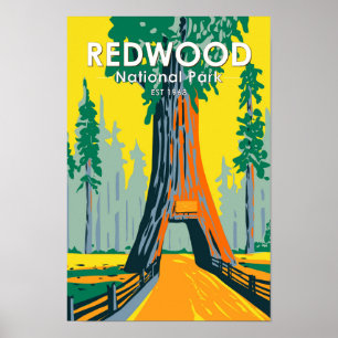 Poster Sequwood National Park Chandelier Tree Vintage
