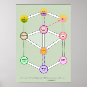 Póster Ser decuplamente humano