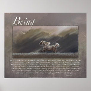 Poster Ser Inspiracional