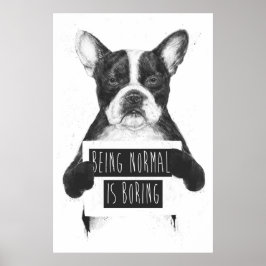 Póster Ser normal é chato