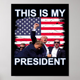 Poster Será Que O Meu Presidente Trump 2024 Eleitoral?