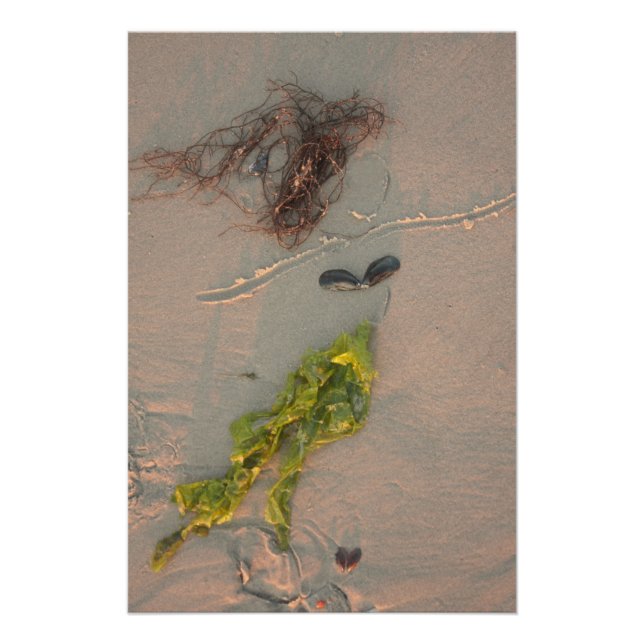 Póster Sereia (Frente)