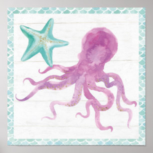 Poster Sereia Amigos V