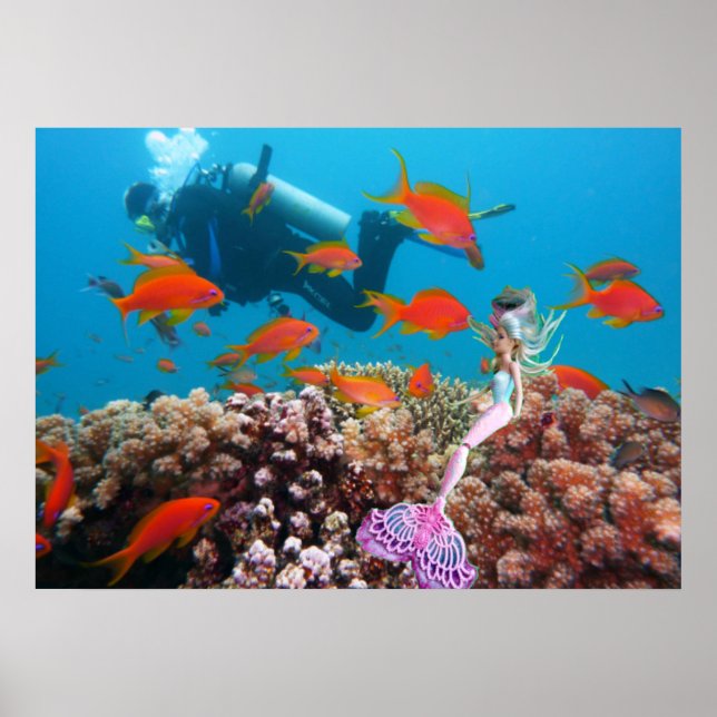 Poster Sereia Famosa (Frente)