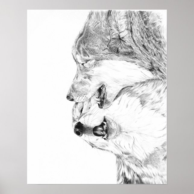 Poster Serenade (Frente)