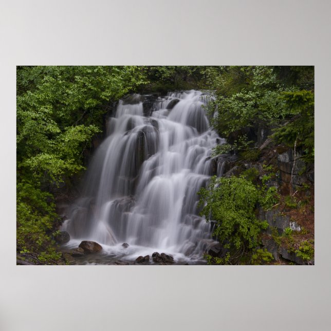 Póster Serene (Frente)