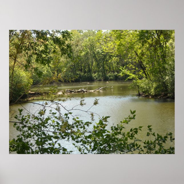 Póster Serene 2 (Frente)