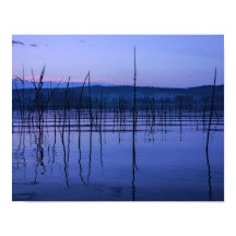 Serene e lago névoa após chuva forte