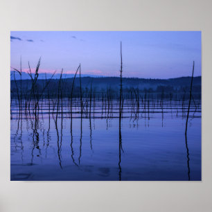 Poster Serene e lago névoa após chuva forte