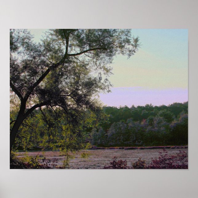 Póster Serene Marsh E Natureza Do Efeito Fotográfico De Á (Frente)