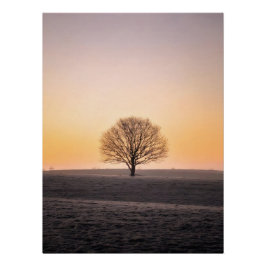 Póster Serene Solitude: Winter Sunrise Lone Tree - Minima