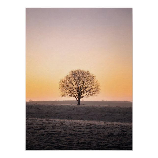 Póster Serene Solitude: Winter Sunrise Lone Tree - Minima (Frente)
