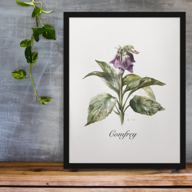 Poster Serene Watercolor Comfrey, personalizada (Criador carregado)