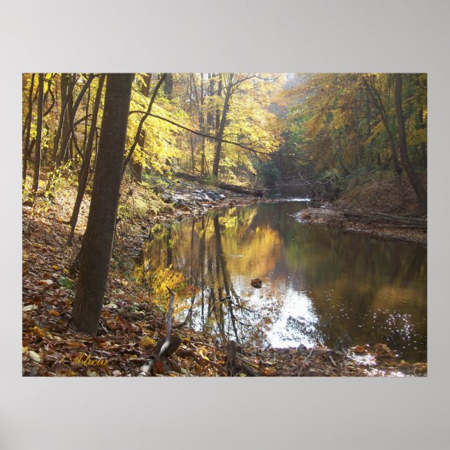 Póster Serenidade (Frente)