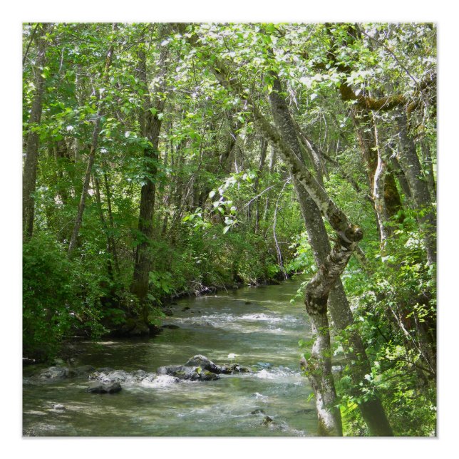 Póster Serenidade.... (Frente)