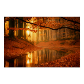 Póster Serenidade do ouro