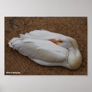 Poster Serenidade em Branco