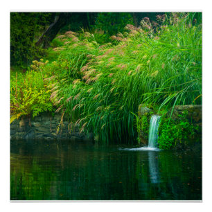 Póster Serenidade Esmeralda junto às Quedas do Jardim