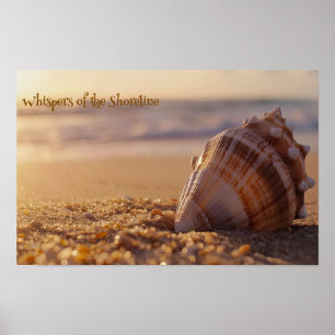 Poster Serenidade por Sol: Cana-de-Cana na Costa