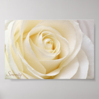 Poster Serenidade Rosa Branca