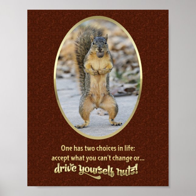 Poster Serenity Prayer em uma casca (Frente)