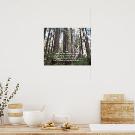 Poster Serenity Prayer Sunlix Forest Fotografia