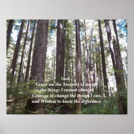Poster Serenity Prayer Sunlix Forest Fotografia