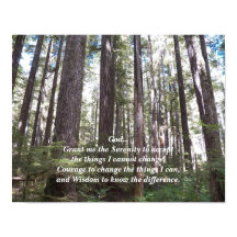 Serenity Prayer Sunlix Forest Fotografia