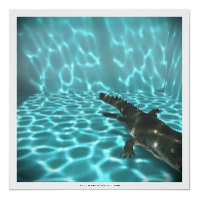 Póster SÉRIE DE PISCINAS DAVID p07c flou3- 3D Computer AR (Frente)