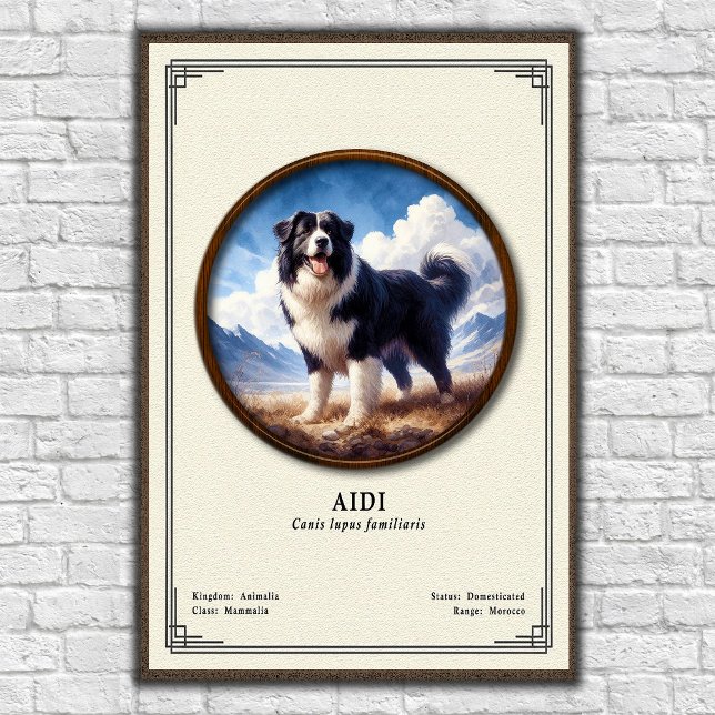 Poster Série de Zoologia Aidi (Criador carregado)