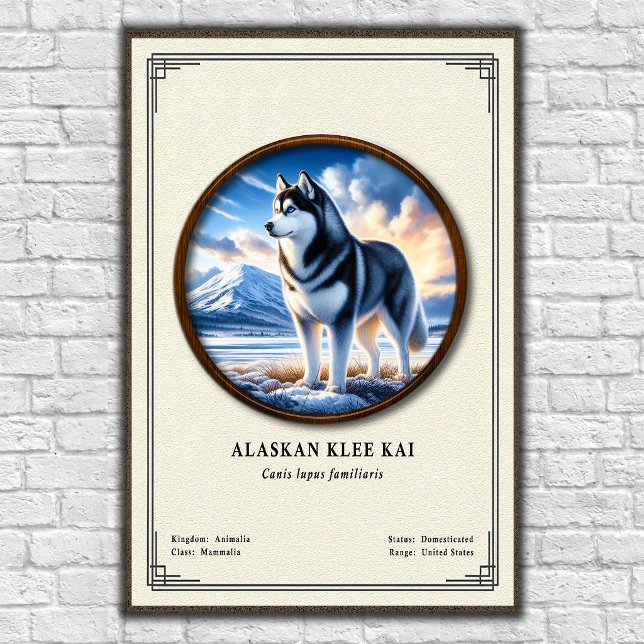 Poster Série de Zoologia Alaskan Klee Kai (Criador carregado)