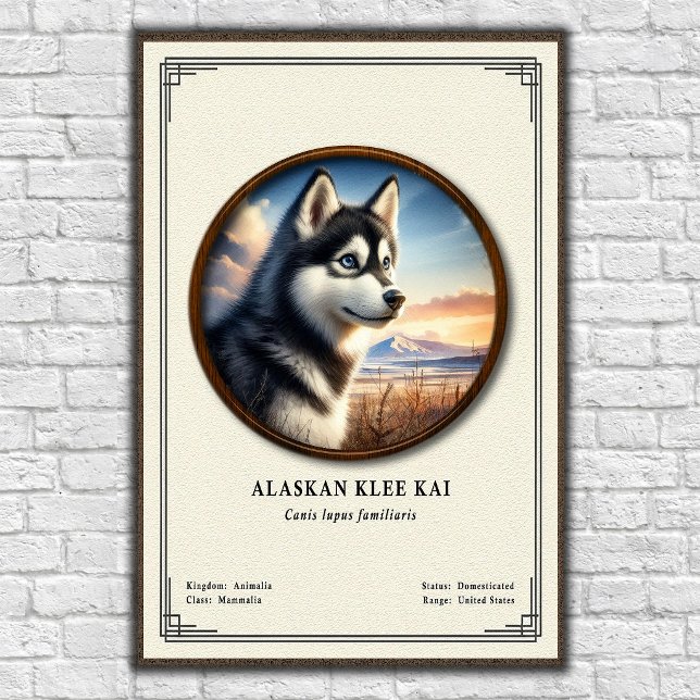 Poster Série de Zoologia Alaskan Klee Kai (Criador carregado)