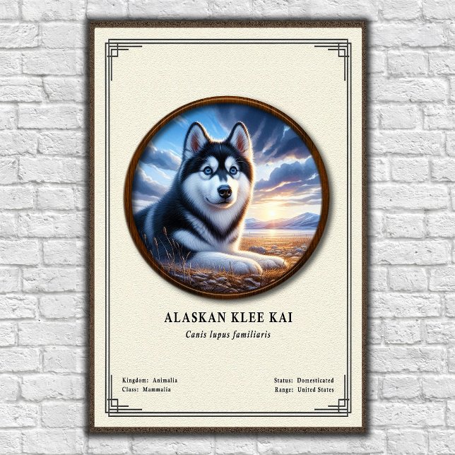Poster Série de Zoologia Alaskan Klee Kai (Criador carregado)