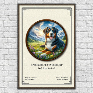 Poster Série de Zoologia Appenzeller Sennenhund