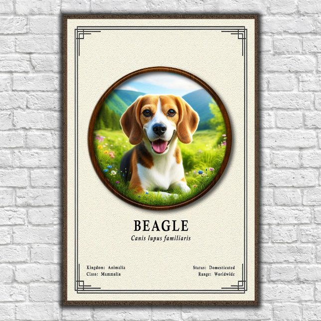 Poster Série de Zoologia Beagle (Criador carregado)