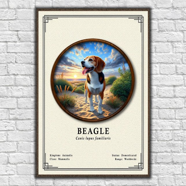 Poster Série de Zoologia Beagle (Criador carregado)