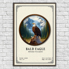 Poster Série de Zoologia da Águia Americana