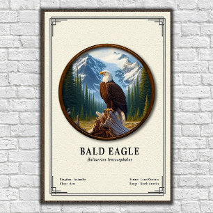 Poster Série de Zoologia da Águia Americana