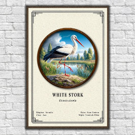 Poster Série de Zoologia da Cegonha Branca