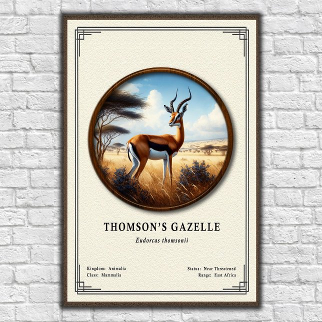 Poster Série de Zoologia da Gazela de Thomson (Criador carregado)